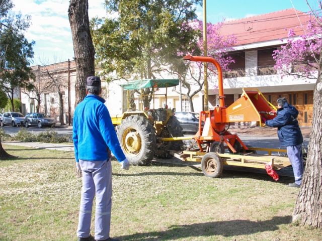 El municipio cumple con tareas de mantenimiento en la ciudad