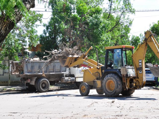 Continúa la recolección de ramas y troncos que dejó el temporal en la ciudad