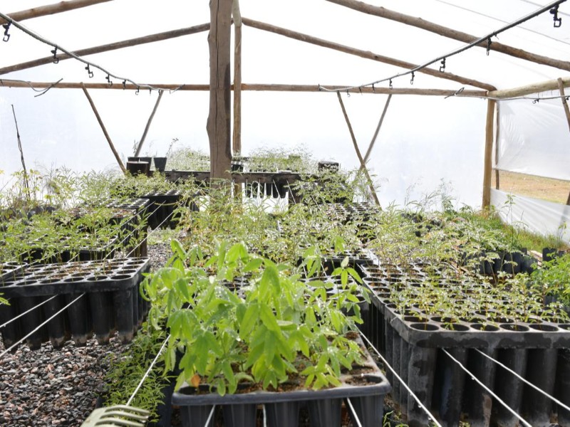 San Francisco continúa trabajando en materia ambiental con políticas sostenidas y acciones concretas