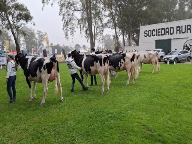 Todo Láctea: Expo 2026