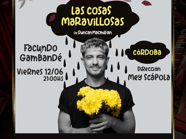 Obra de teatro: Las Cosas Maravillosas