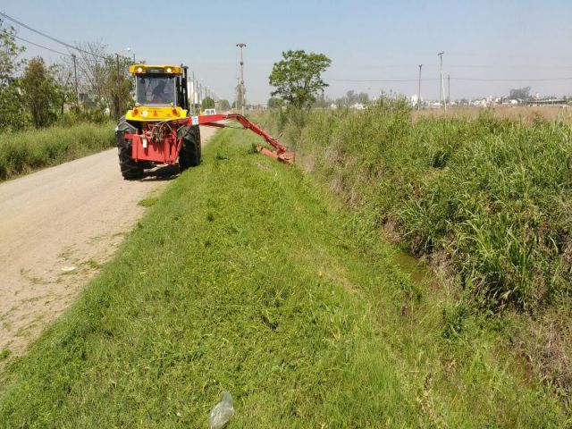 El municipio realiza tareas de mantenimiento y mejoras en espacios verdes de la ciudad 