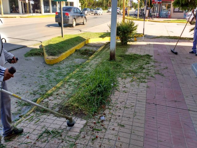 Tras las precipitaciones se intensifican los trabajos en la ciudad