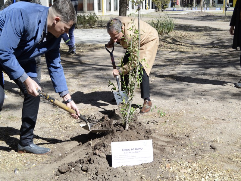 Bernarte encabezó el acto conmemoración por los 136 años de fundación de la ciudad