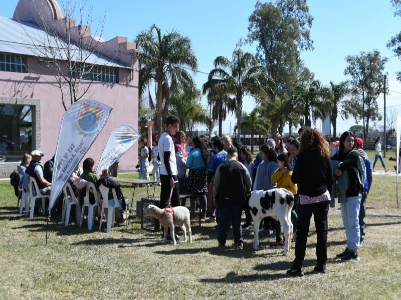 Más de 1000 personas participaron del 26º Encuentro Recreativo y Deportivo para personas con Discapacidad 