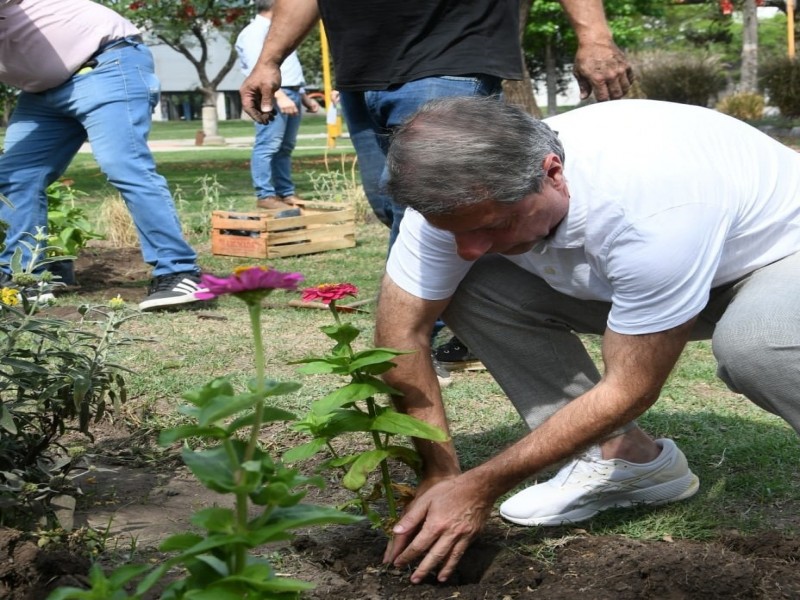 Ornamentaron la Plaza Cívica con flores del Vivero Municipal