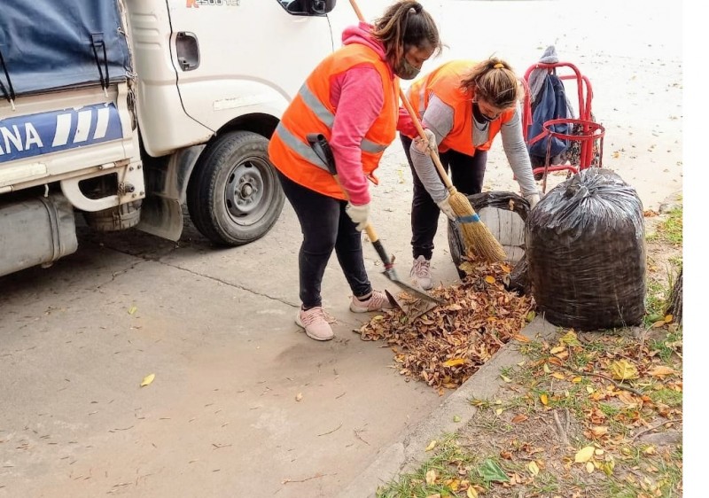 Campaña Hojarasca 2021: El municipio continúa con los trabajos de recolección de hojas en la ciudad 