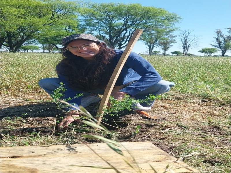 “+ Árboles + Vida”: avanza la creación del nuevo pulmón verde en San Francisco