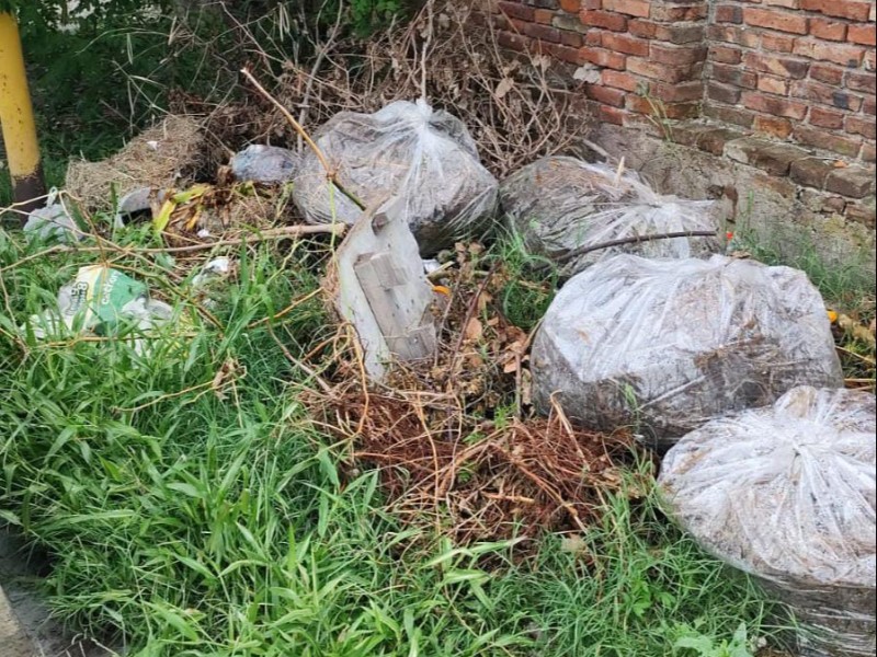 Una vez más y van…: el municipio limpió minibasurales en diferentes puntos de la ciudad