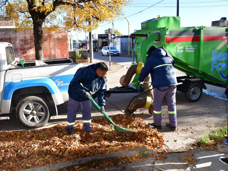Continúa la campaña de recolección de hojas en distintos barrios de la ciudad