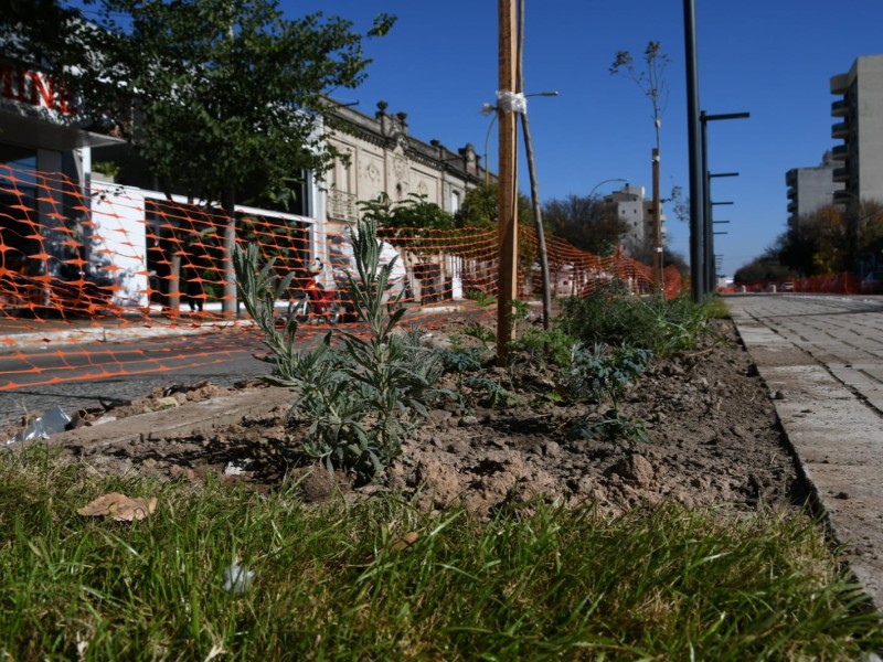 San Francisco se prepara para inaugurar la revalorización del Bv. 9 de Julio, senda peatonal y bicisenda en altura