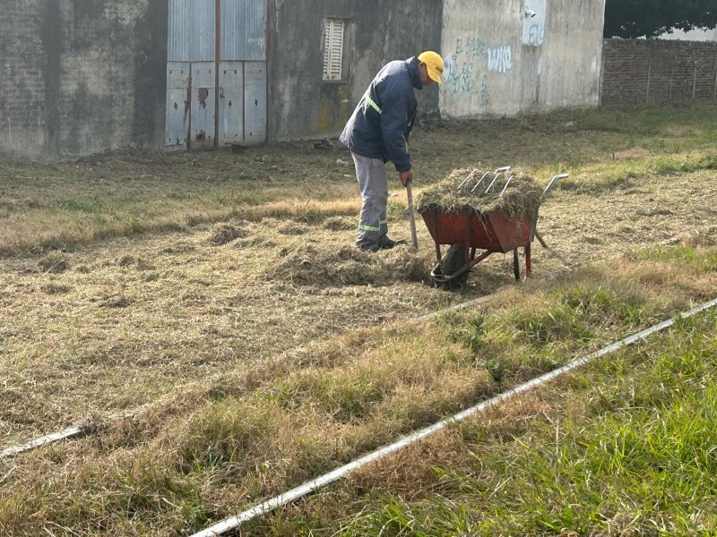 Siguen las tareas de mantenimiento en el FFCC Belgrano y el chipeado de ramas